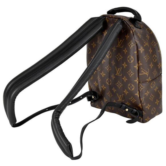 Louis Vuitton Palm Springs PM Rucksack Monogram Backpack - Picture 5 of 12